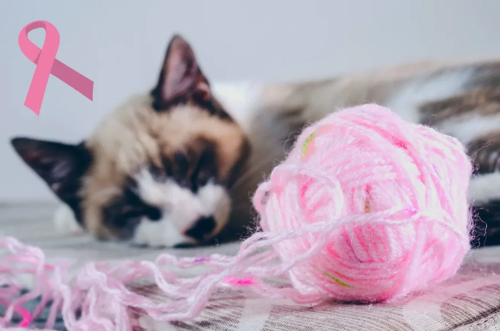 Outubro Rosa Pet