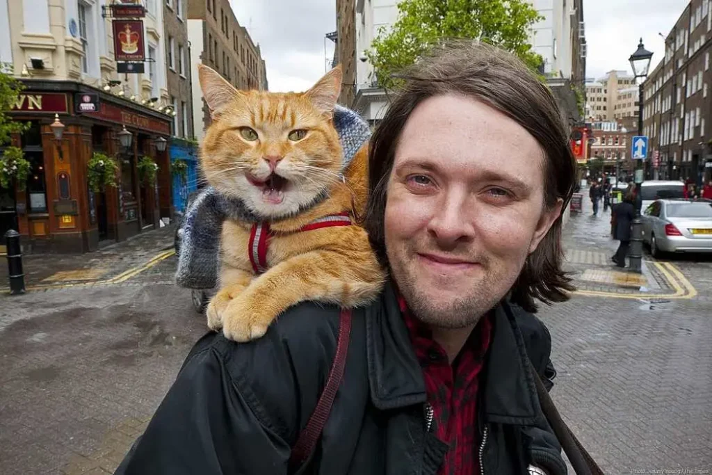 Um Gato de rua chamado Bob