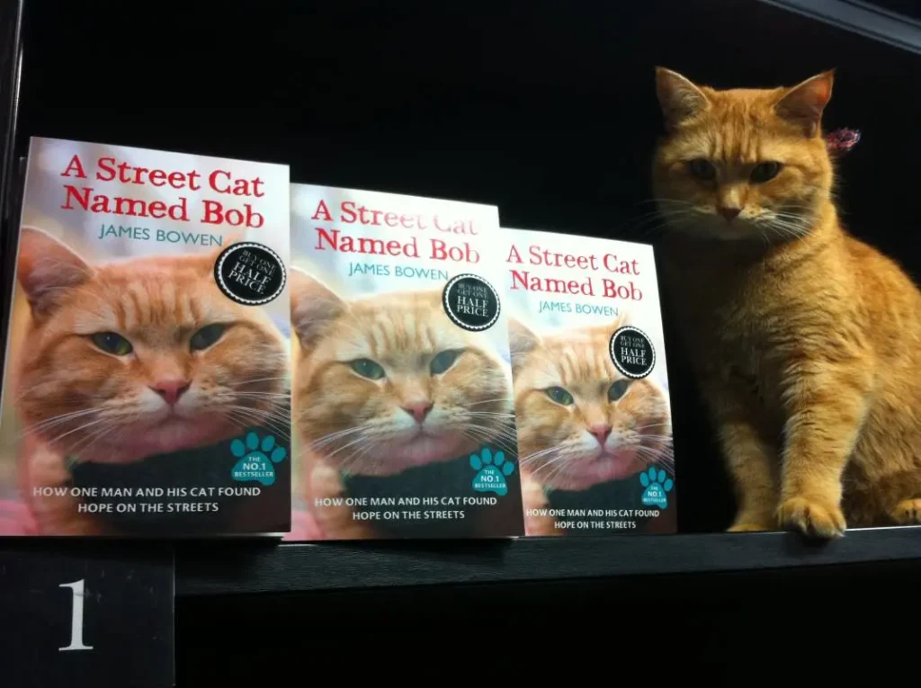 Um Gato de Rua Chamado Bob: A Incrível História de Amizade e Superação de um Homem e seu Gato 3 WhatsApp Image 2024 10 30 at 14.53.31 2