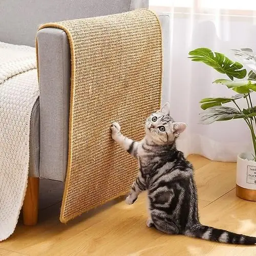 Como Cortar as Unhas de Gato: 10 motivos para aparar as garras de seu felino 5 gatinho tigrado aranhando arranhador no sofa