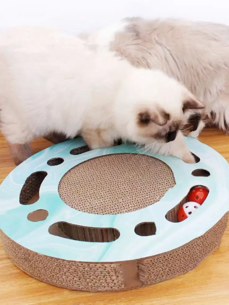Brincadeiras para Gatos: 4 Temas Importantes seu Felino 5 Gato brincando com brinquedo interativo de bola e arranhador
