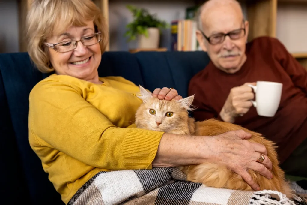 Gatos e Saúde Mental