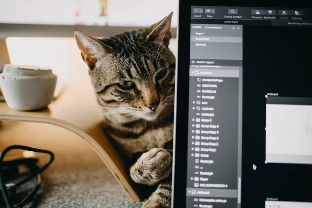 Gatos no Home Office