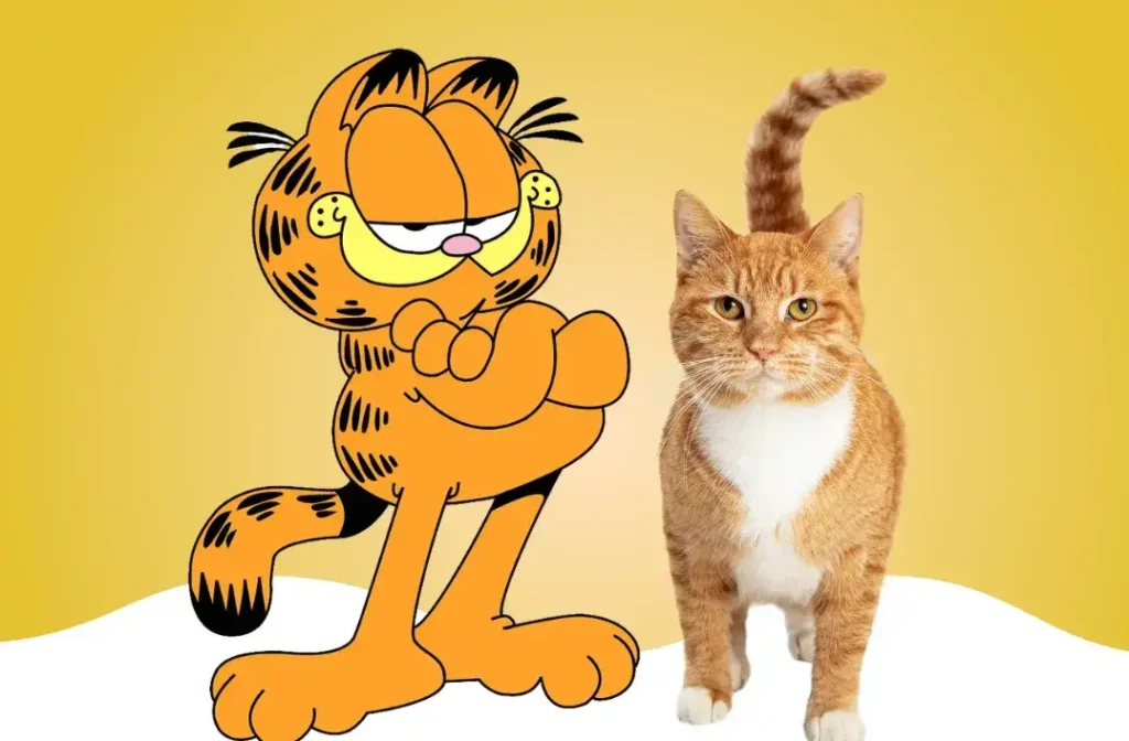 Garfield: O Gato Mais Preguiçoso e Amado do Mundo 7 Garfield ao lado de um gato laranja real, mostrando as semelhanças entre o famoso personagem de quadrinhos e gatos domésticos.