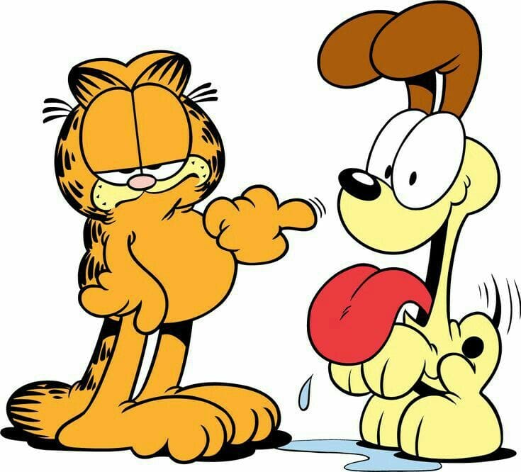 Garfield, o famoso gato laranja, com expressão sarcástica, ao lado de Odie, o cachorro brincalhão, em uma pose cômica.