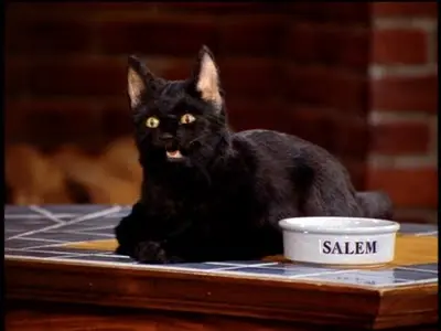 Salem Saberhagen: O Gato Mais Sarcástico da Cultura Pop 6 Salem Saberhagen, o gato preto falante da série Sabrina, Aprendiz de Feiticeira, deitado ao lado de uma tigela com seu nome.