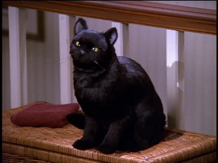 Salem Saberhagen: O Gato Mais Sarcástico da Cultura Pop 3 Gato preto Salem Saberhagen sentado sobre um banco, personagem da série Sabrina, Aprendiz de Feiticeira.