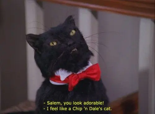 Salem Saberhagen: O Gato Mais Sarcástico da Cultura Pop 8 Salem Saberhagen, o gato preto falante da série Sabrina, Aprendiz de Feiticeira, usando um laço vermelho em cena engraçada.