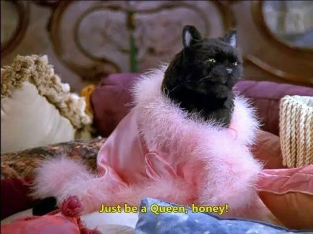 Salem Saberhagen: O Gato Mais Sarcástico da Cultura Pop 7 Salem Saberhagen, o gato preto falante da série Sabrina, Aprendiz de Feiticeira, usando um roupão rosa com a frase "Just be a Queen, honey!