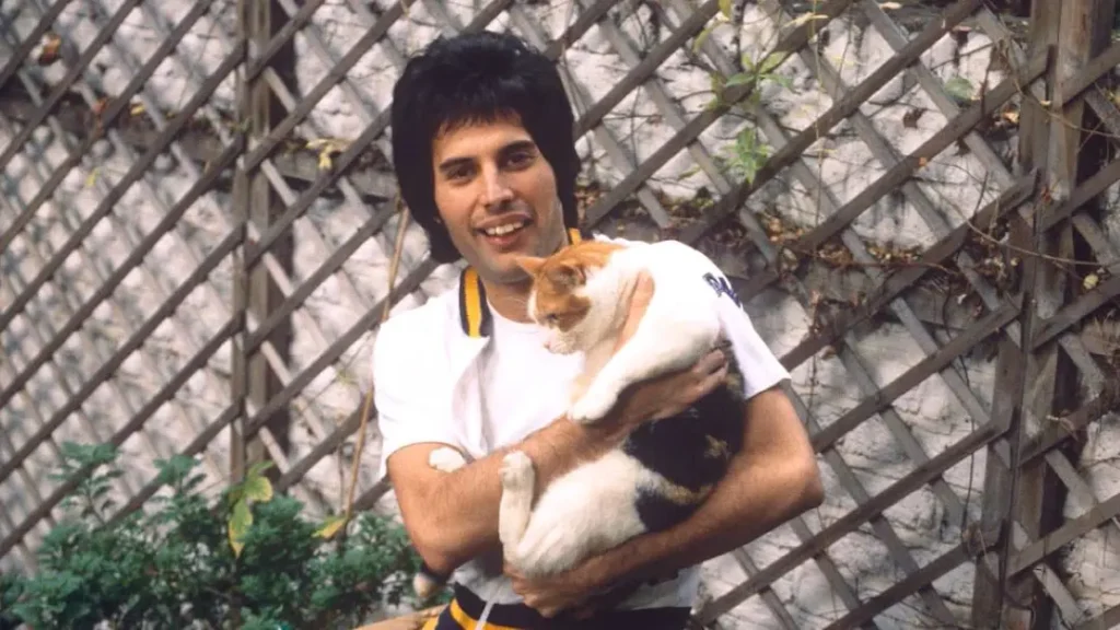 Freddie Mercury segurando sua gata Delilah, uma tricolor, no jardim, simbolizando o amor do astro pelos gatos