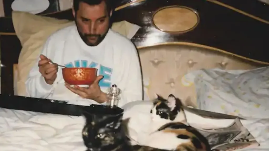 Freddie Mercury e Seus Gatos: Uma Biografia Felina 3 Freddie Mercury sentado em sua cama, acompanhado por dois de seus gatos, incluindo Delilah, a gata favorita do cantor