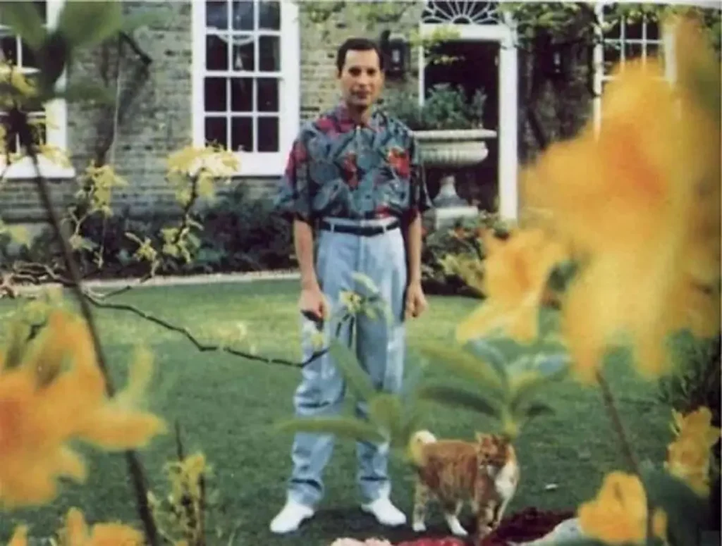 Freddie Mercury e Seus Gatos: Uma Biografia Felina 6 Freddie Mercury em seu jardim, vestindo uma camisa estampada, com um gato laranja ao seu lado entre flores amarelas